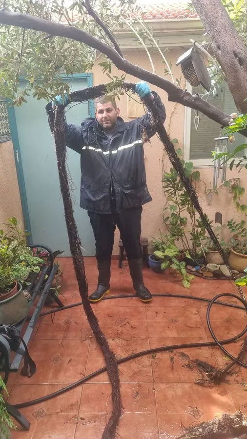 ארבל ביובית — שירות מקצועי